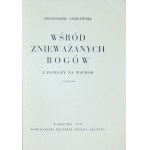 GODLEWSKI Franciszek - Wśród znieważanych bogów. Z podróży na Wschód. Z 32 ryc. Warszawa 1930. Dom Książki Pol. 8,...