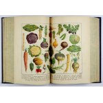 OCHOROWICZ-MONATOWA Marja - A universal cookbook with illustrations and color plates, awarded at exhibitions....
