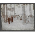 [EGYPT - suvenýr z expedice - situační fotografie]. [19./20. století]. Soubor 25 fotografií form....