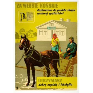 JANISZEWSKI Władysław - Für Rosshaar, das an die Ankaufsstelle der städtischen Genossenschaft geliefert wird, werden Sie gut bezahlt und teks...