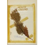 WAŃKOWICZ Melchior - Monte Cassino. Varšava 1972, Wyd. MON. 8, s. 467, [1], mapa ff. 1, desky. přebal....