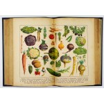 OCHOROWICZ-MONATOWA Marya - Universal cookbook with illustrations and color plates awarded at exhibition h...