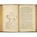 OCHOROWICZ-MONATOWA Marya - Universal-Kochbuch mit Illustrationen und Farbtafeln, ausgezeichnet in der Ausstellung h...