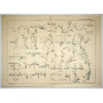 Vzácný ilustrační atlas Učení zručnosti jako prostředek vzdělávání. 1891.