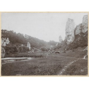 [KRAKOV a okolí - údolí u Krakova? - pohled na fotografii]. [1910?]. Formulář fotografie. 12x16,...
