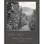[OGRODNICTWO na terenach Tyrolu - fotografie sytuacyjne i widokowe]. [l. 30. XX w.]....