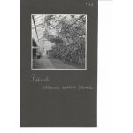 [OGRODNICTWO w Pillnitz - fotografie sytuacyjne i widokowe]. [l. 30. XX w.]. Zestaw 9 fotografii form. 12x12 cm na karto...