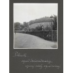 [OGRODNICTWO w Pillnitz - fotografie sytuacyjne i widokowe]. [l. 30. XX w.]. Zestaw 9 fotografii form. 12x12 cm na karto...