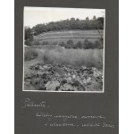 [Zahradnictví v Pillnitz - situační a pohledové fotografie]. [l. 30. léta 20. století]. Soubor 9 fotografií. 12x12 cm na kartonu...