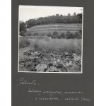 [Gartenarbeit in Pillnitz - Situations- und Ansichtsaufnahmen]. [l. 1930er Jahre]. Satz von 9 Fotografien Form. 12x12 cm auf Karton...