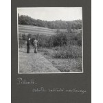 [OGRODNICTWO w Pillnitz - fotografie sytuacyjne i widokowe]. [l. 30. XX w.]. Zestaw 9 fotografii form. 12x12 cm na karto...