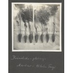 [OGRODNICTWO w górach (Kościelisko, Kuźnice) - fotografie sytuacyjne i widokowe]. [1936, 1937, 1938]...