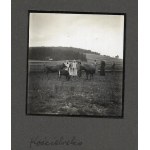 [OGRODNICTWO w górach (Kościelisko, Kuźnice) - fotografie sytuacyjne i widokowe]. [1936, 1937, 1938]...