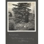 [OGRODNICTWO w górach (Kościelisko, Kuźnice) - fotografie sytuacyjne i widokowe]. [1936, 1937, 1938]...