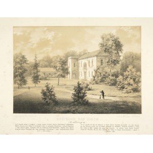 Dubiecko nad Sanem. (Galicya). 1880. N. Orda.