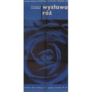 Plakat WYSTAWA RÓŻ, niebieski, 1967, Proj. Jurłacz, fot. Pleśniarowicz
