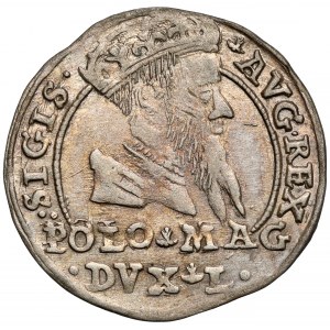 Sigismund II Augustus, Grosz per Polish foot 1567, Tykocin