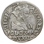 Zygmunt II August, Grosz na stopę polską 1566, Tykocin - JASTRZĘBIEC