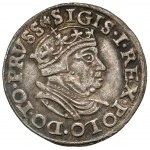 Zygmunt I Stary, Trojak Gdańsk 1546 - bardzo rzadki