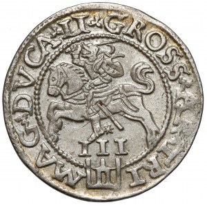 Zygmunt II August, Trojak Wilno 1562 - duża Pogoń - piękny