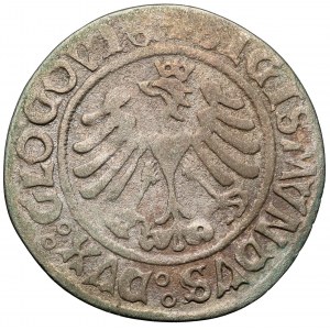 Zygmunt I Stary, Grosz Głogów 1506 - z datą