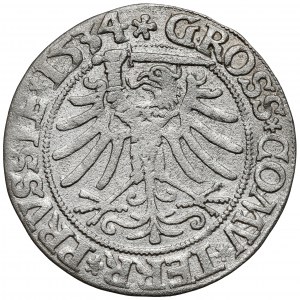 Zygmunt I Stary, Grosz Toruń 1534 - z włosami - wczesny