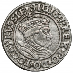 Zygmunt I Stary, Grosz Toruń 1535