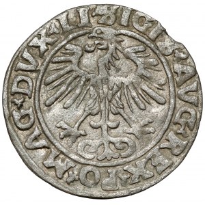 Zygmunt II August, Półgrosz Wilno 1555