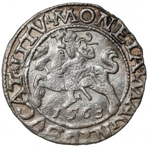 Zygmunt II August, Półgrosz Wilno 1563 - duża Pogoń