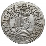 Zygmunt I Stary, Grosz Gdańsk 1535 - odwrócony trójlistek - RZADKI
