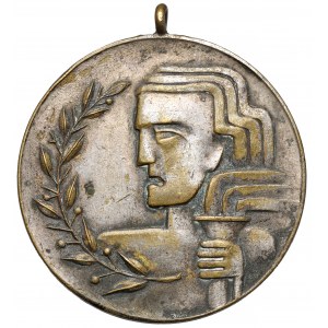 II RP, Medal, II Ogólnopolski Zjazd OMP - Organizacja Młodzieży Pracującej