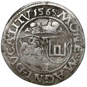 Zygmunt II August, Dwugrosz Wilno 1565 - b.rzadki