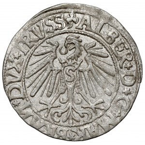 Prusy, Albrecht Hohenzollern, Grosz Królewiec 1545 - odwrócone N