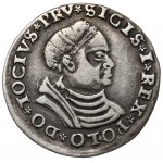 Zygmunt I Stary, Trojak Toruń 1529 - bardzo rzadki