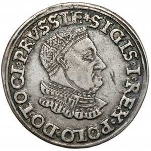 Zygmunt I Stary, Trojak Toruń 1535 - ostatni - rzadki