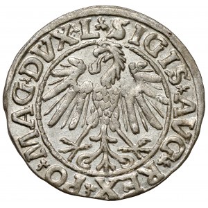 Zygmunt II August, Półgrosz Wilno 1547 - L - rzadki