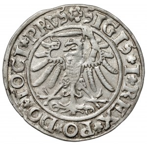 Zygmunt I Stary, Grosz Elbląg 1534