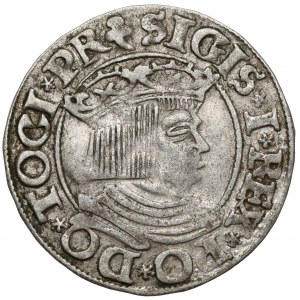 Zygmunt I Stary, Grosz Gdańsk 1535 - trójlistki