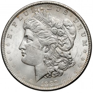 USA, Dolar 1889, Philadelphia - Morgan Dollar