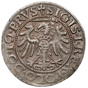 Zygmunt I Stary, Grosz Elbląg 1539
