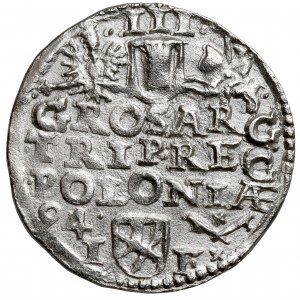 Zygmunt III Waza, Trojak Poznań 1594 - szeroka / listki