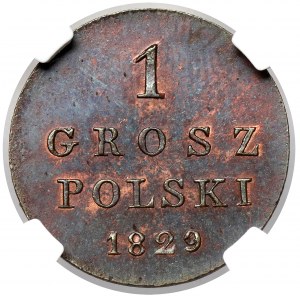 1 grosz polski 1829 FH - nowe bicie - b.rzadki