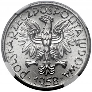 5 złotych 1958 Rybak - BAŁWANEK