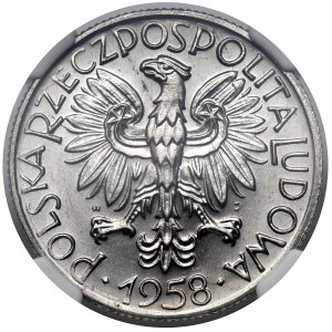 5 złotych 1958 Rybak - BAŁWANEK