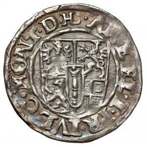 Prusy-Brandenburgia, Johann Sigismund, 1/24 talara 1613