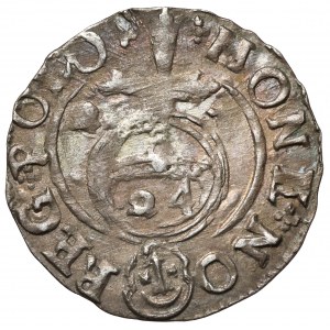 Zygmunt III Waza, Półtorak Bydgoszcz 1623 - w tarczy