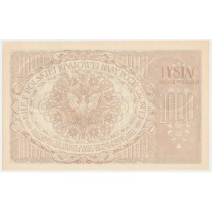 1.000 mkp 1919 - Ser.ZAF