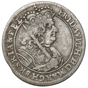 Prusy-Brandenburgia, Friedrich Wilhelm I, Ort 1679 HS, Königsberg