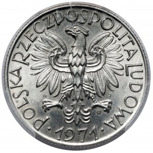 Rybak 5 złotych 1971