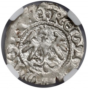 Ladislaus II Jagiello, Cracow half-penny - type 16 - mark O
